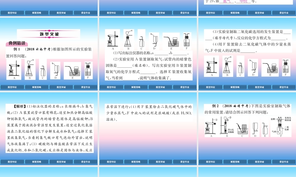 中考化学复习 第2编 重点专题突破篇 专题突破5 常见气体的制取及净化(精讲)课件