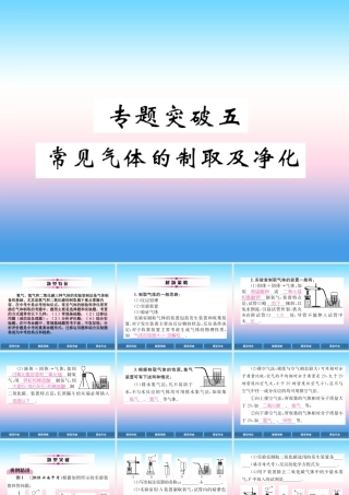 中考化学复习 第2编 重点专题突破篇 专题突破5 常见气体的制取及净化(精讲)课件