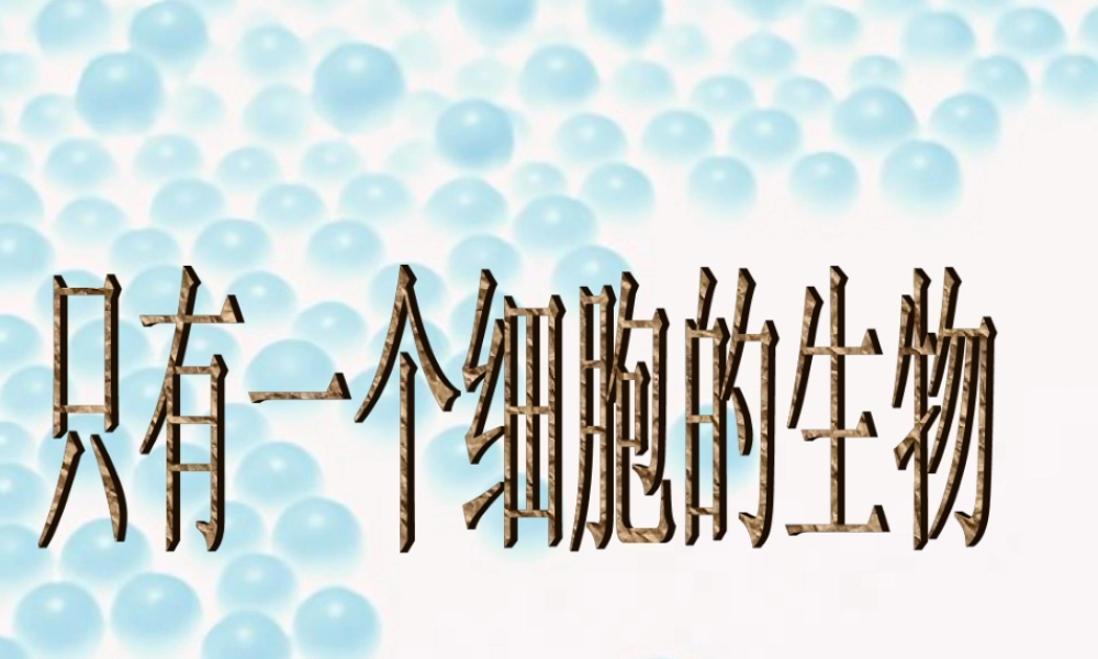 七年级生物只有一个细胞的生物体课件 鲁教版 课件