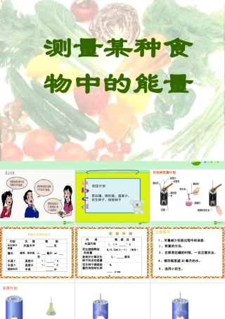 七年级生物 测定某种食物中的能量课件 人教新课标版 课件
