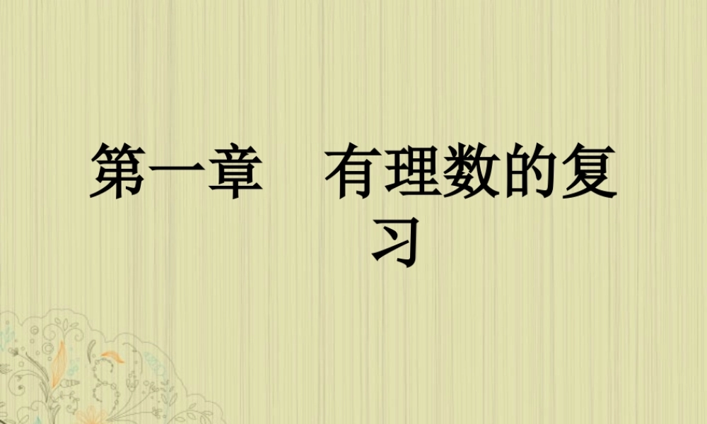 山东省东营市七年级数学(有理数)复习课件  人教新课标版 课件