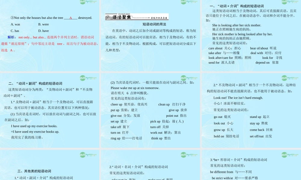 九年级英语上册 Unit8(I llhelpcleanupthecityparks)SectionA课件 人教新目标版 课件