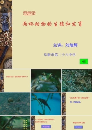 八年级生物新人教两栖动物的生殖和发育ppt 课件