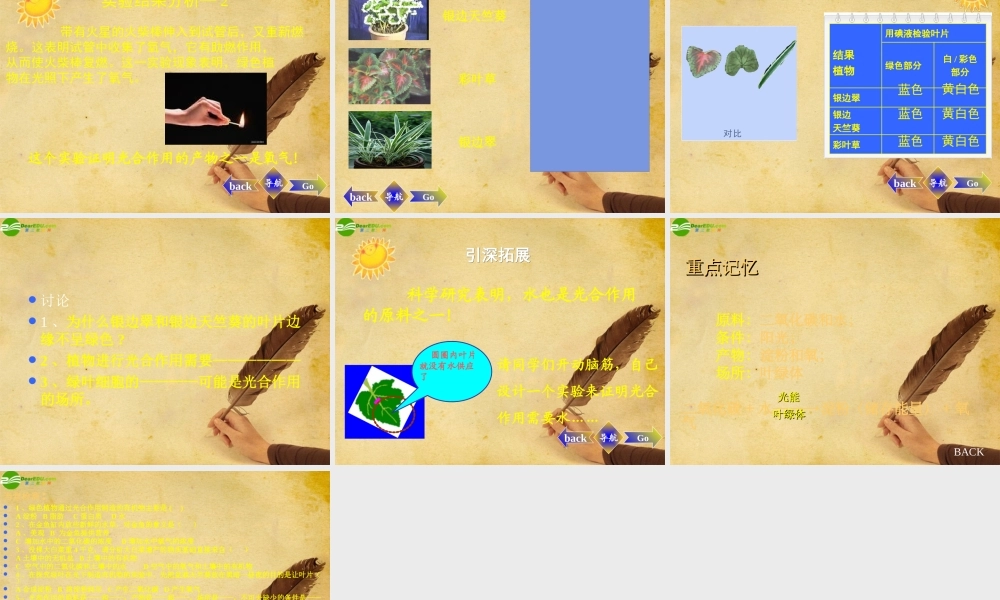 七年级生物上册 光合作用的发现课件 北师大版 课件