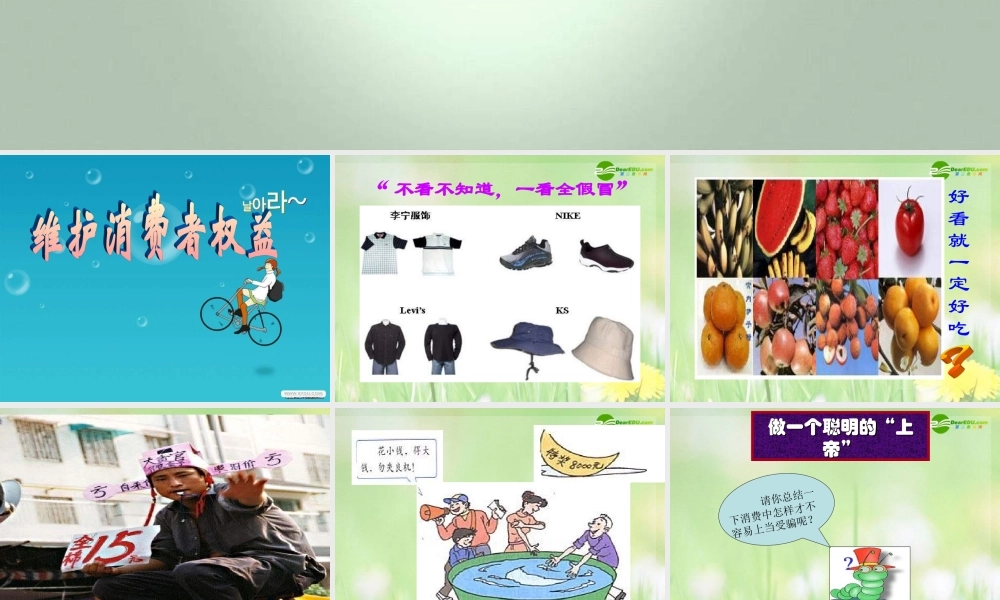 八年级政治下册 维护消费者的权益课件 人教新课标版 课件