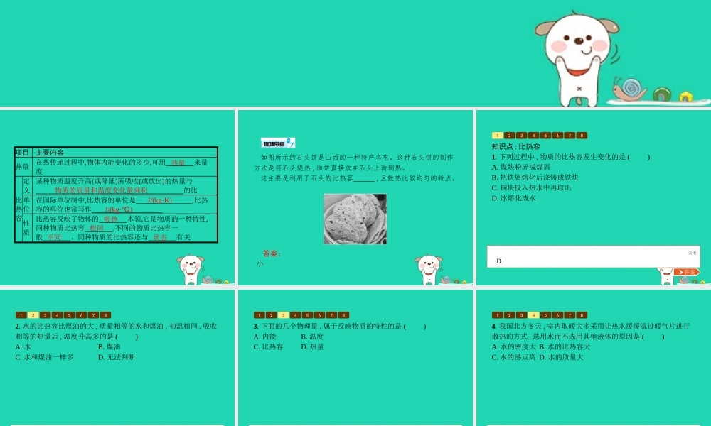 九年级物理全册 103 探究——物质的比热容课件 (新版)北师大版 课件