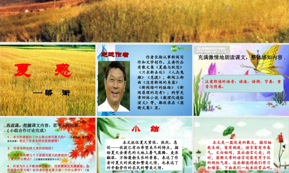 七年级语文上册 (夏感)优秀教学课件 人教新课标版 课件