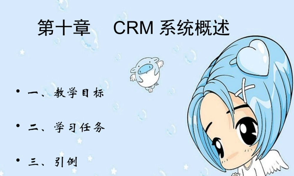 CRM系统概述
