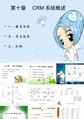 CRM系统概述