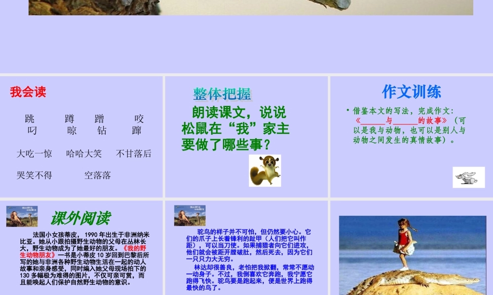 跑进家来的松鼠-(2)
