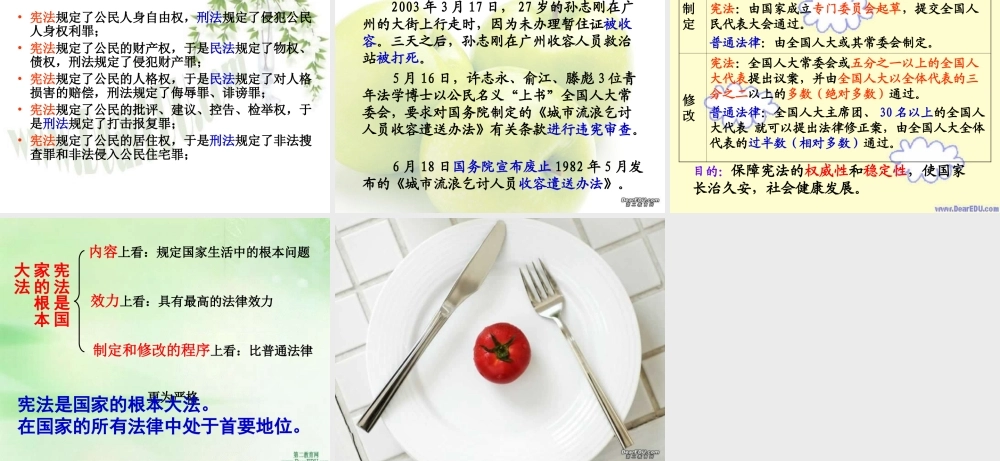 九年级政治宪法是国家的根本大法课件 新课标 人教版 课件