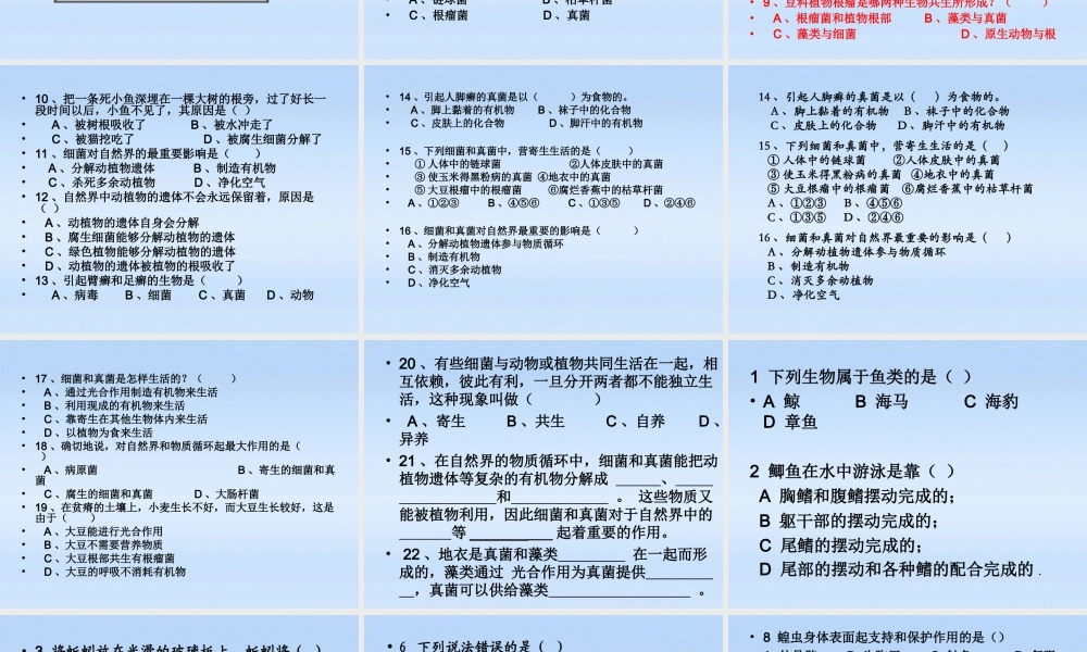 八年级生物上册 阶段练习题课件 人教新课标版 课件
