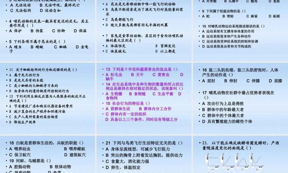 八年级生物上册 阶段练习题课件 人教新课标版 课件