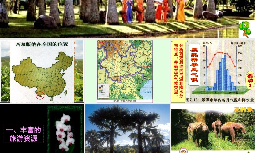 八年级地理第二节 西南边陲的特色旅游区－西双版纳课件