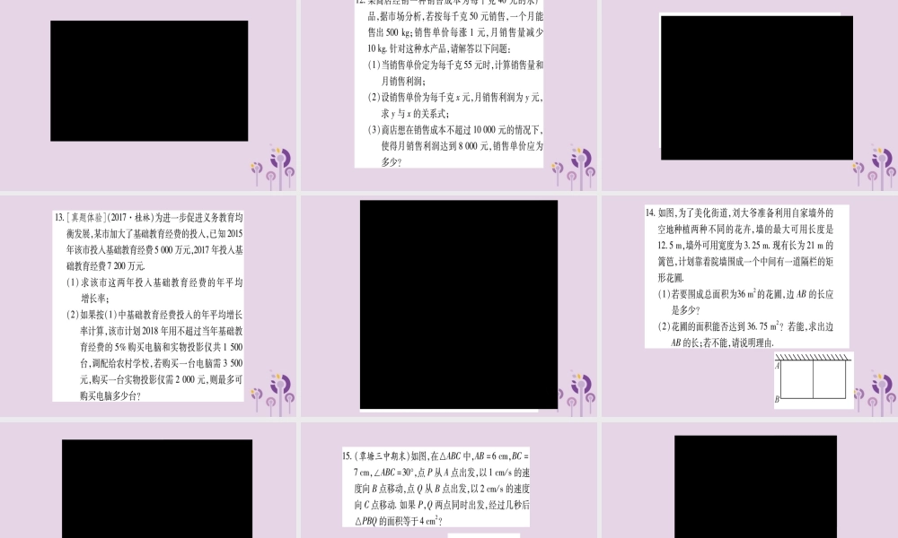 九年级数学上册 第2章 一元二次方程 小专题(2)一元二次方程的实际应用作业课件 (新版)湘教版 课件