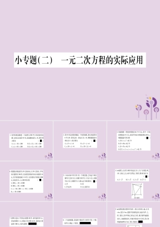 九年级数学上册 第2章 一元二次方程 小专题(2)一元二次方程的实际应用作业课件 (新版)湘教版 课件