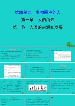 七年级生物下册 4.1.1人的起源和发展习题课件(新版)新人教版 课件