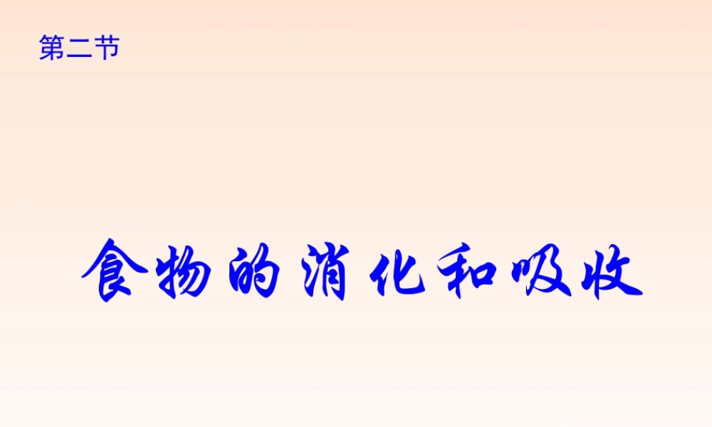 九年级科学上册 食物的消化与吸收1课件 浙教版 课件