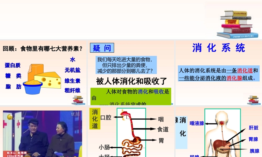 九年级科学上册 食物的消化与吸收1课件 浙教版 课件