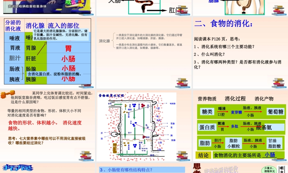 九年级科学上册 食物的消化与吸收1课件 浙教版 课件