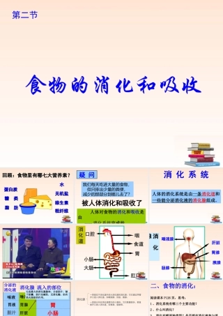 九年级科学上册 食物的消化与吸收1课件 浙教版 课件