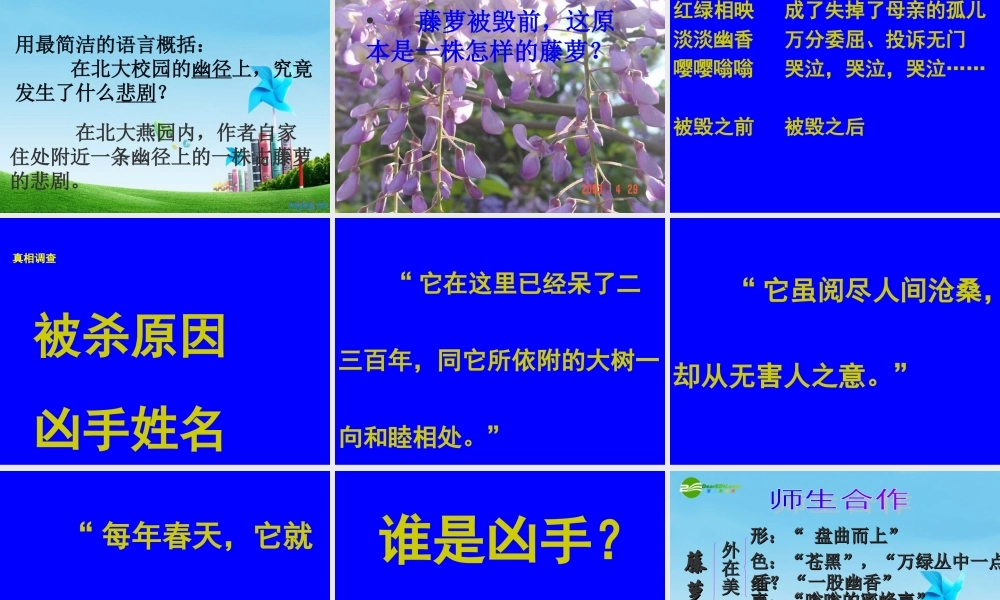 八年级语文上册(幽径悲剧)优秀实用课件 苏教版 课件