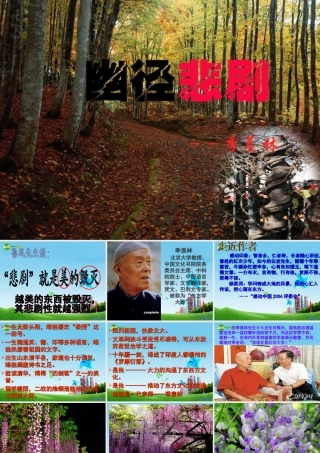 八年级语文上册(幽径悲剧)优秀实用课件 苏教版 课件