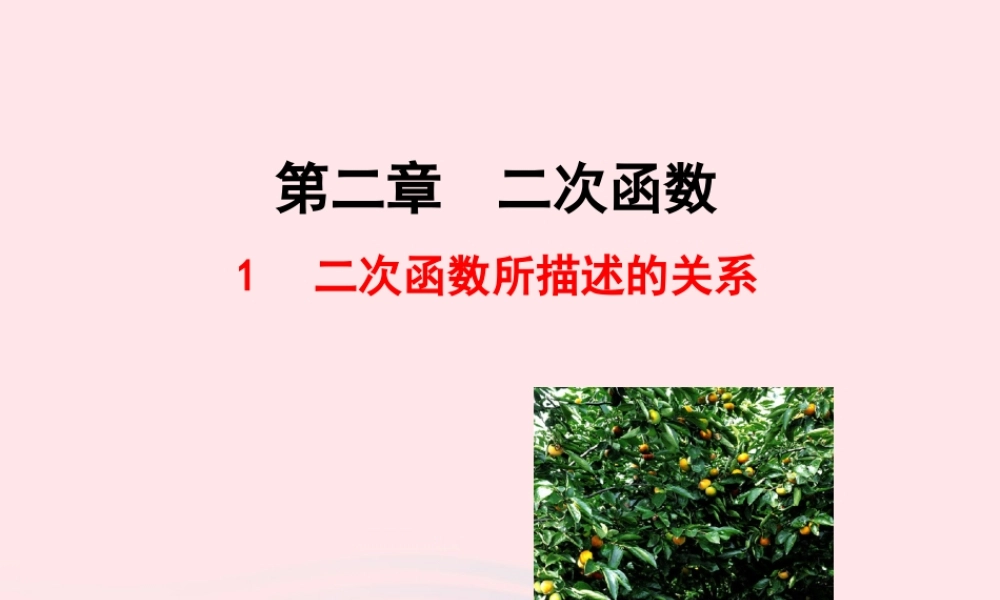 九年级数学下册 第二章二次函数 1二次函数所描述的关系课件 北师大版 课件