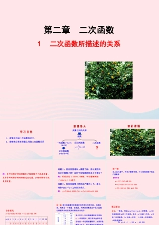 九年级数学下册 第二章二次函数 1二次函数所描述的关系课件 北师大版 课件