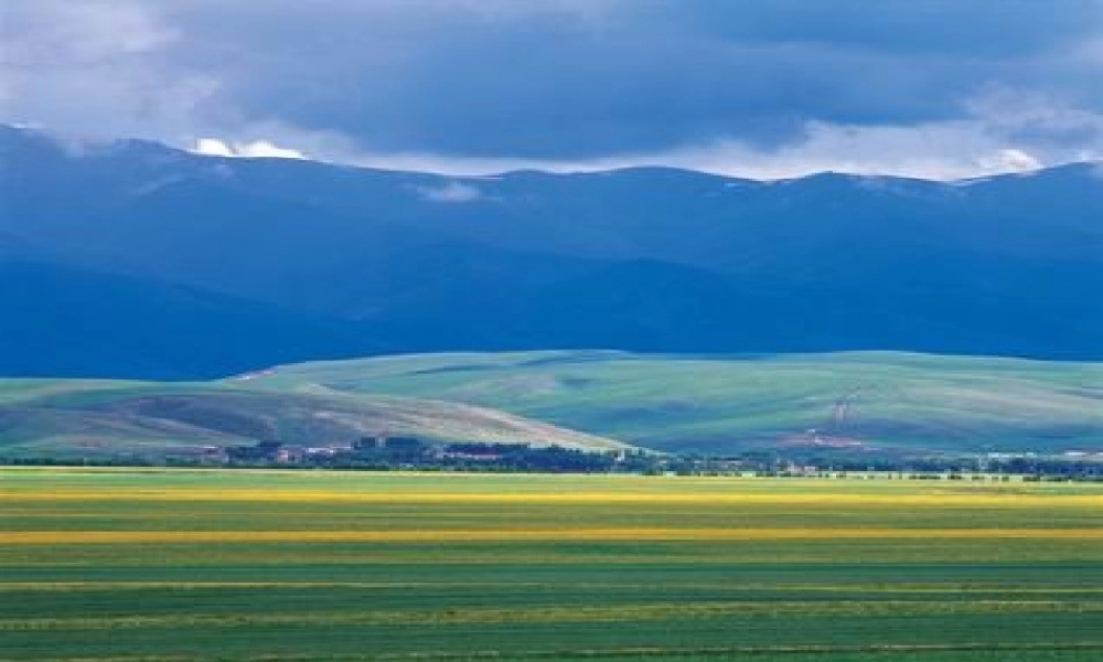 八年级语文下册第三单元第13课：(旅鼠之谜)课件 人教新课标版 课件