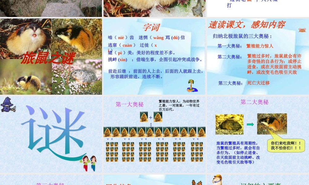 八年级语文下册第三单元第13课：(旅鼠之谜)课件 人教新课标版 课件