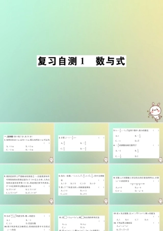九年级数学下册 复习自测1 数与式习题课件 (新版)新人教版 课件