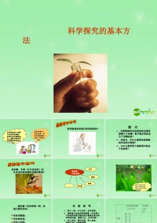 七年级生物上册 第1章第5节科学探究的基本方法课件 苏科版 课件