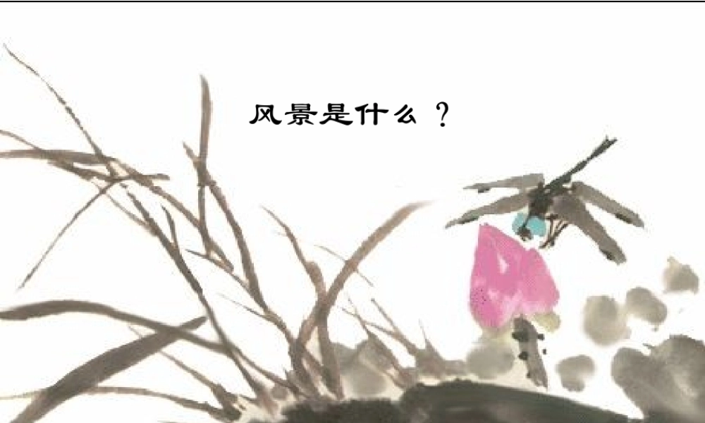 九年级语文上册 第8课(我们的风景)课件 (新版)鄂教版 课件