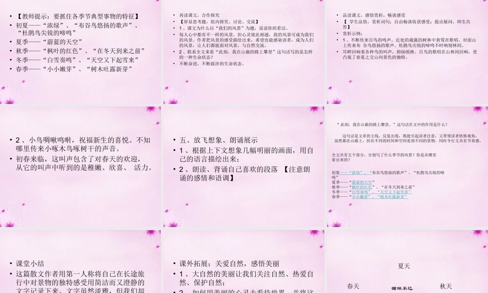 九年级语文上册 第8课(我们的风景)课件 (新版)鄂教版 课件