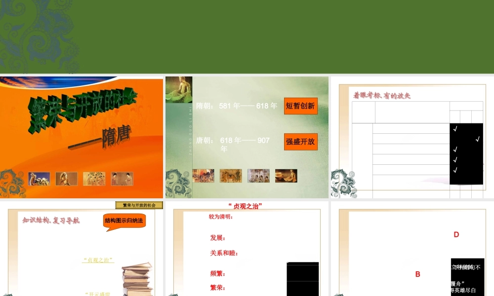 中考历史专题复习课件(二)繁荣与开放的社会 课件