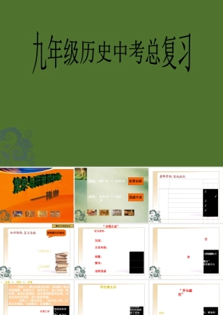 中考历史专题复习课件(二)繁荣与开放的社会 课件