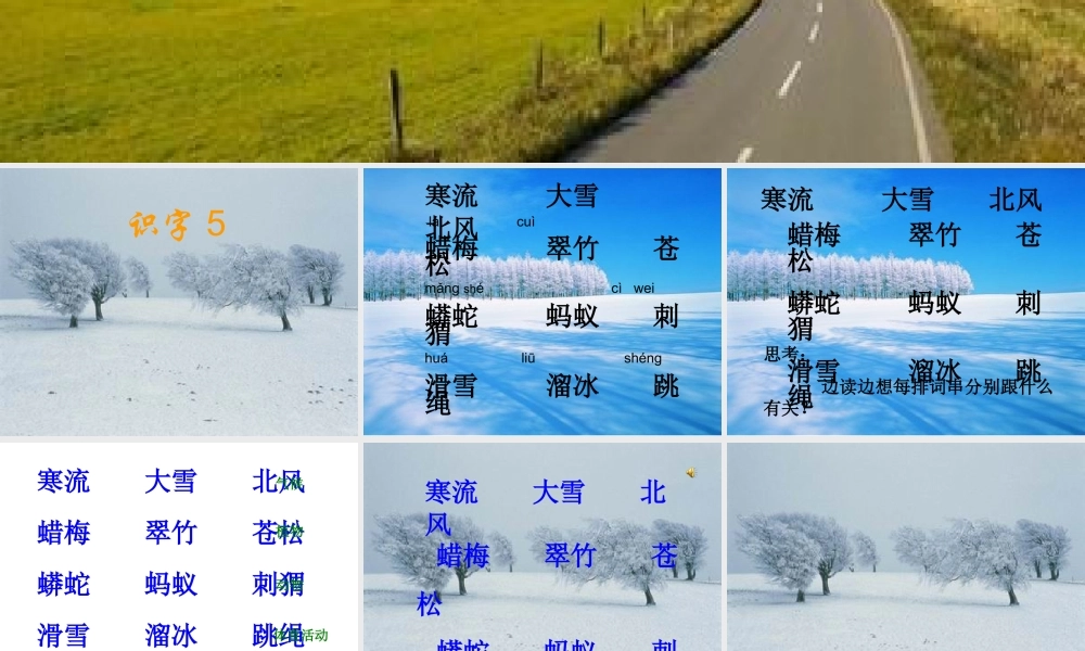 苏教版第三册识字5