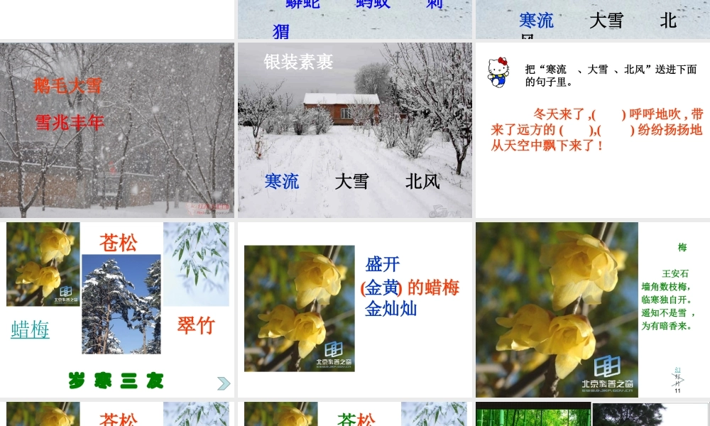 苏教版第三册识字5