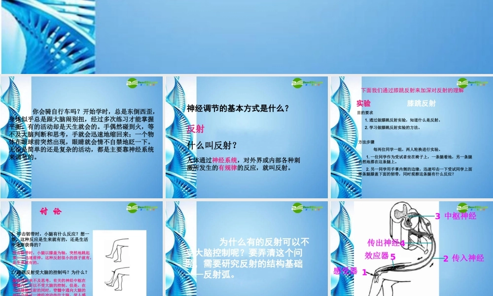 八年级生物 第一学期(试验本)第2章第二节 神经系统  神经调节的基本方式课件 上海版 课件