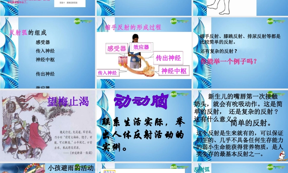 八年级生物 第一学期(试验本)第2章第二节 神经系统  神经调节的基本方式课件 上海版 课件