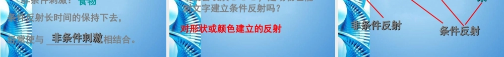 八年级生物 第一学期(试验本)第2章第二节 神经系统  神经调节的基本方式课件 上海版 课件