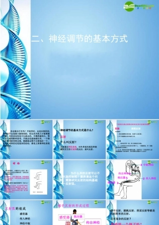 八年级生物 第一学期(试验本)第2章第二节 神经系统  神经调节的基本方式课件 上海版 课件