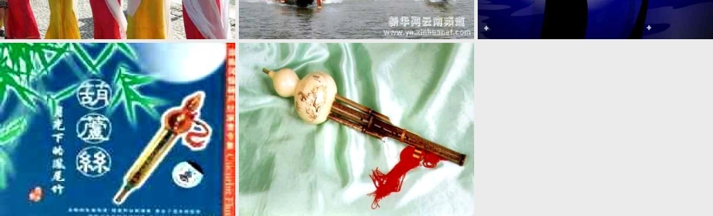 月光下的凤尾竹