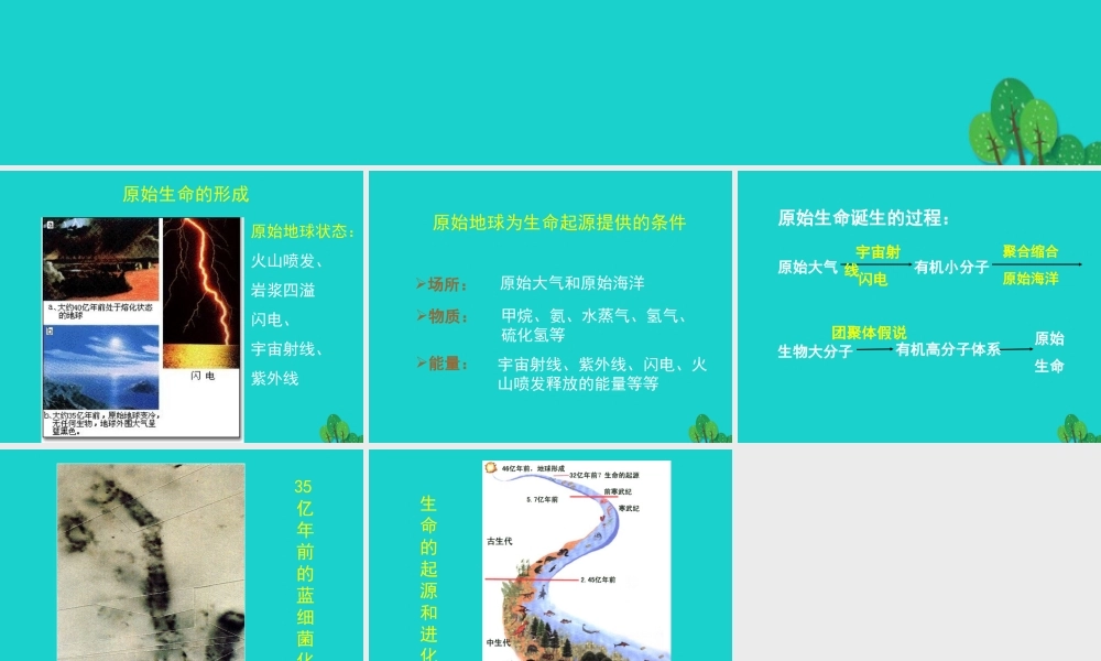 八年级生物下册 第七单元 第21章 第1节 生命的起源 地球上的生命起源课件 北师大版 课件