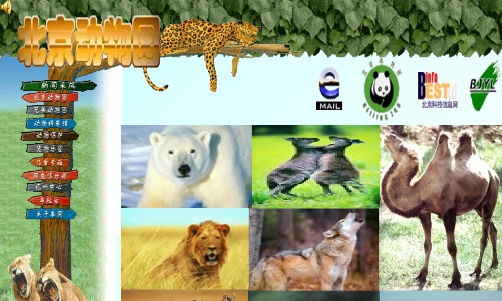 七年级英语Module9-U2课件 外研版 课件