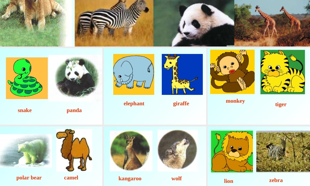 七年级英语Module9-U2课件 外研版 课件