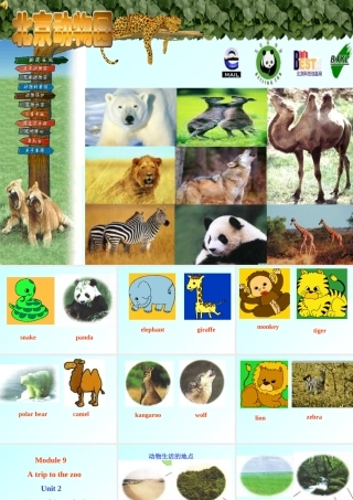 七年级英语Module9-U2课件 外研版 课件