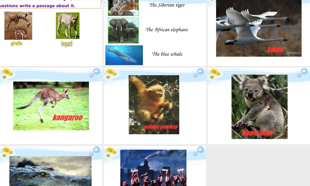 九年级英语 u92课件 人教新目标版 课件