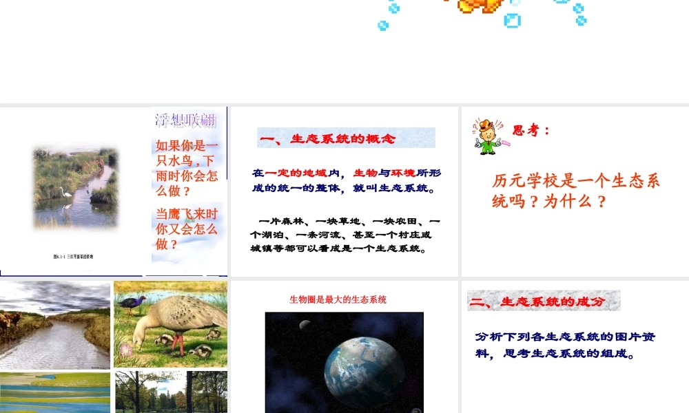 八年级生物下：第六单元第一章第一节生态系统的组成课件济南版 课件